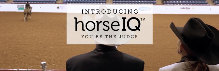 HorseIQ